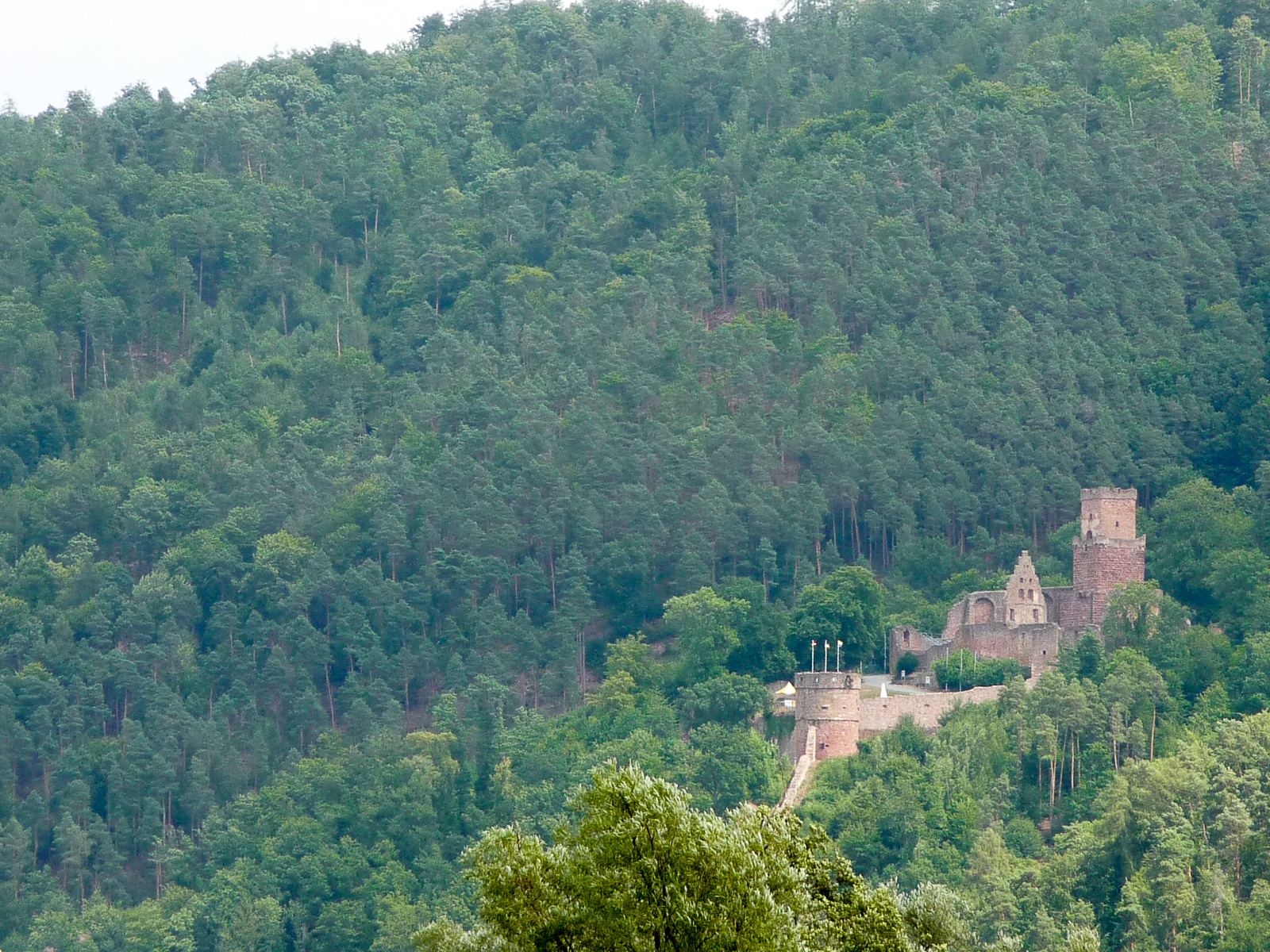 Burg Freudenburg