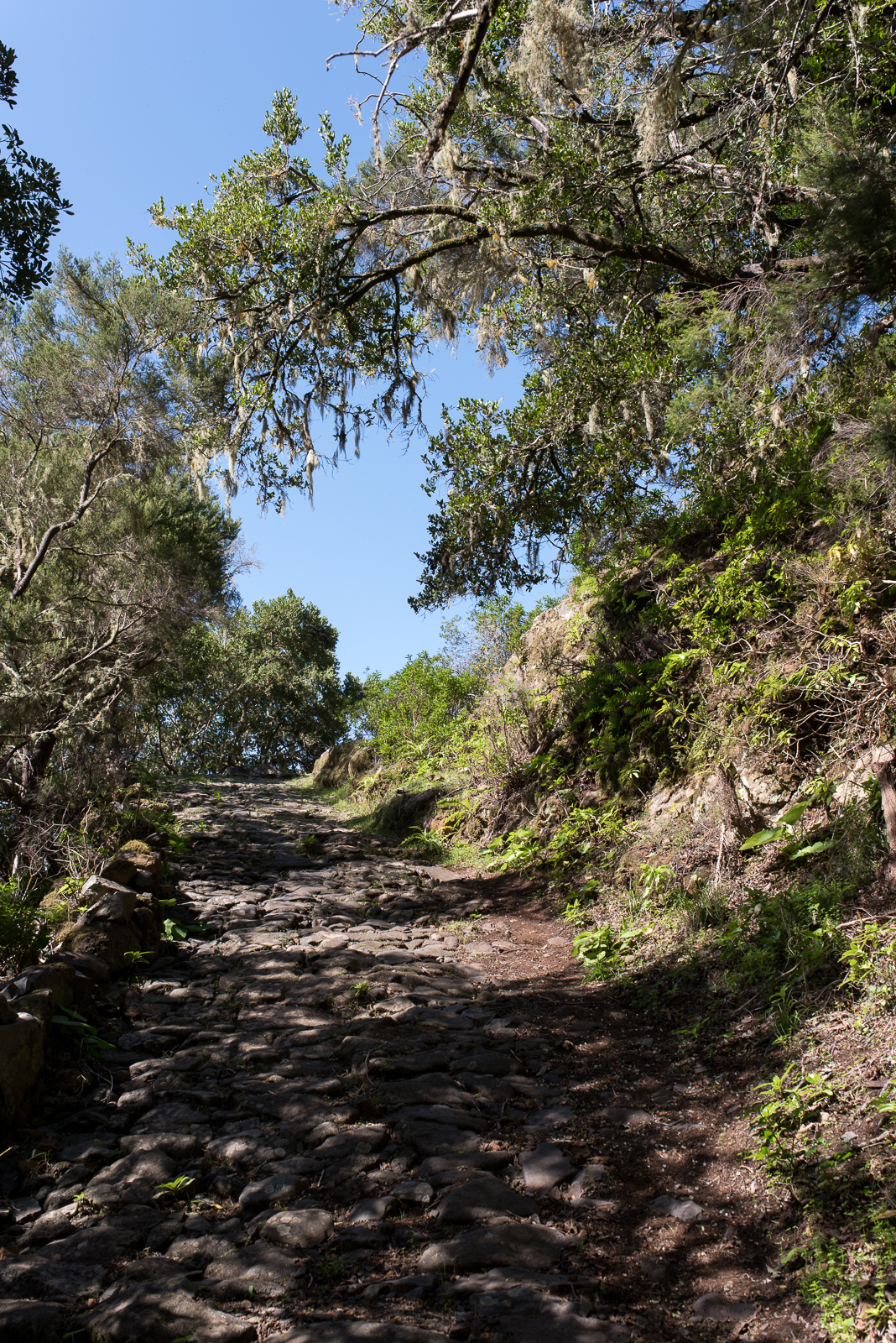 Camino de Jinama