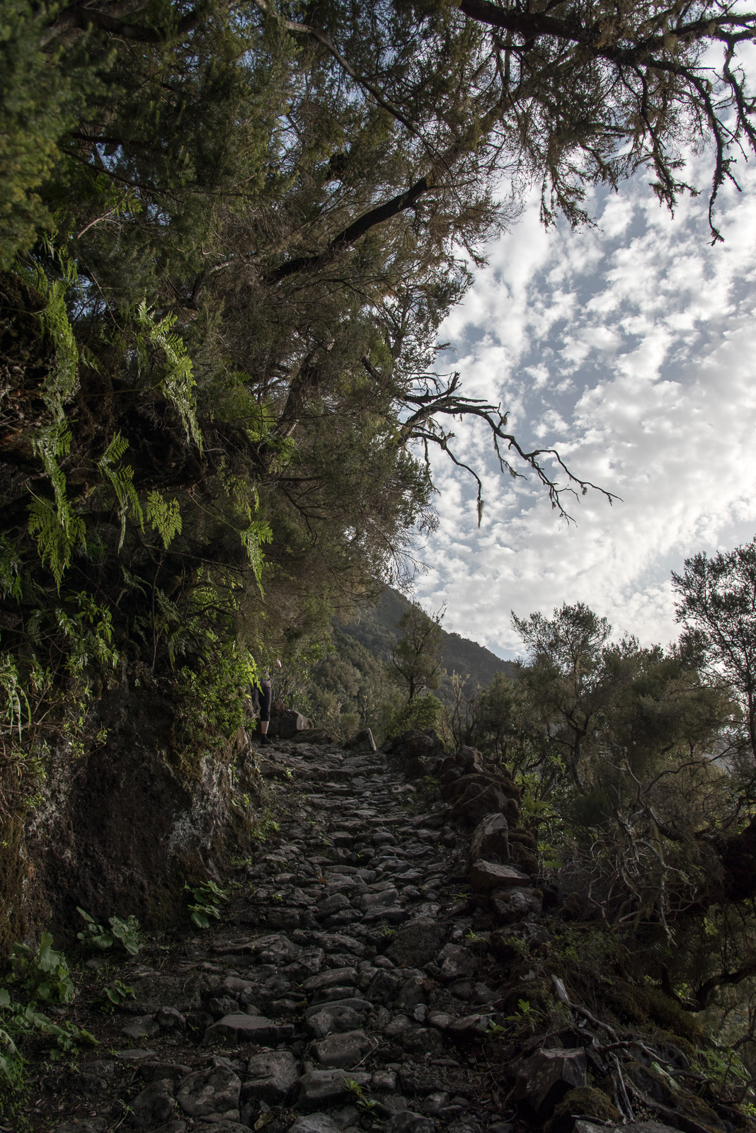 Camino de Jinama