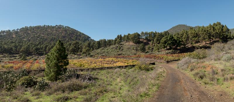 Featured image of post El Hierro 2016