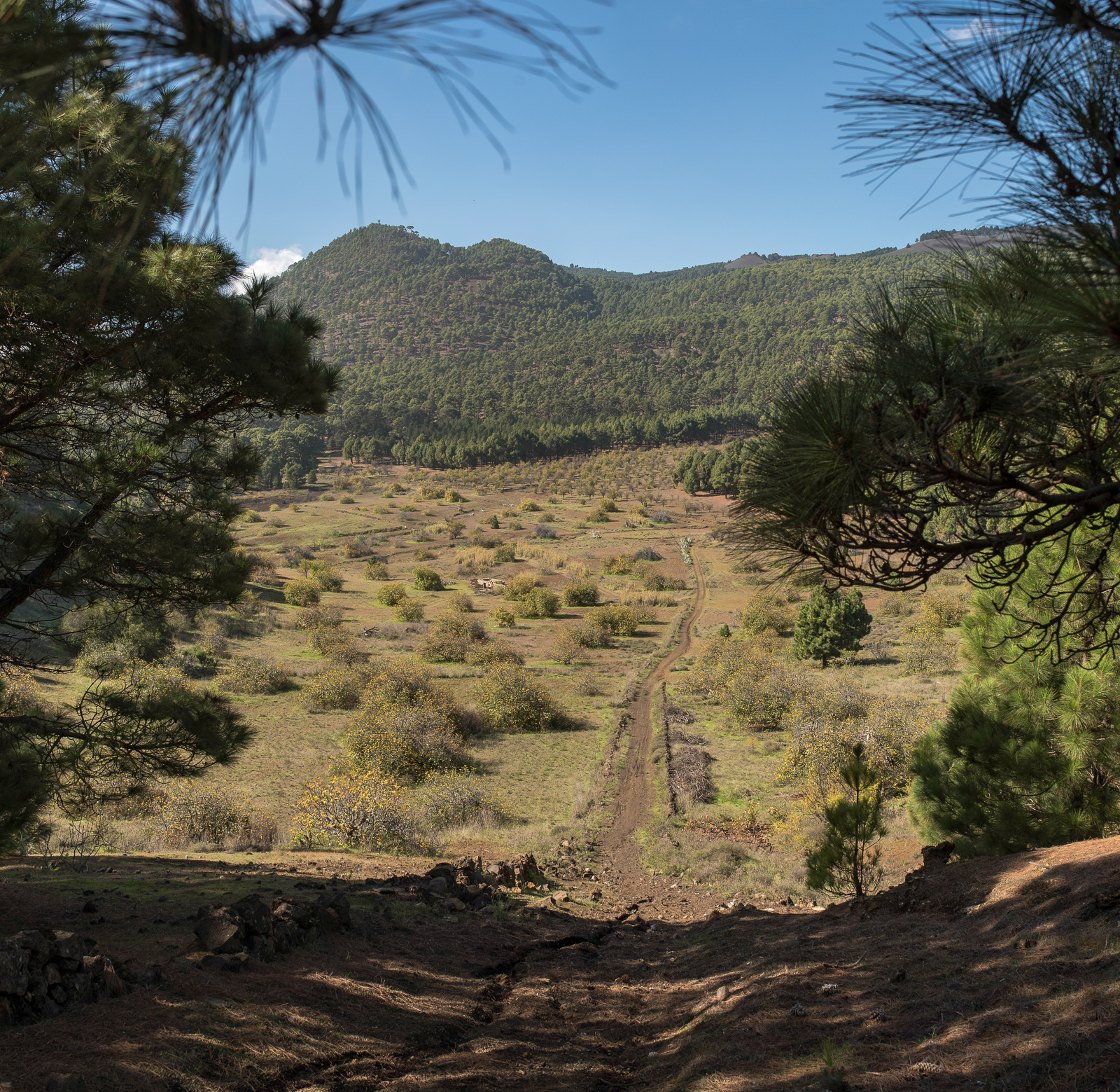 Hoya del Gallega, Mercader