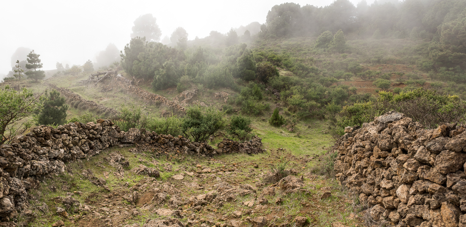 Vereda del Risco