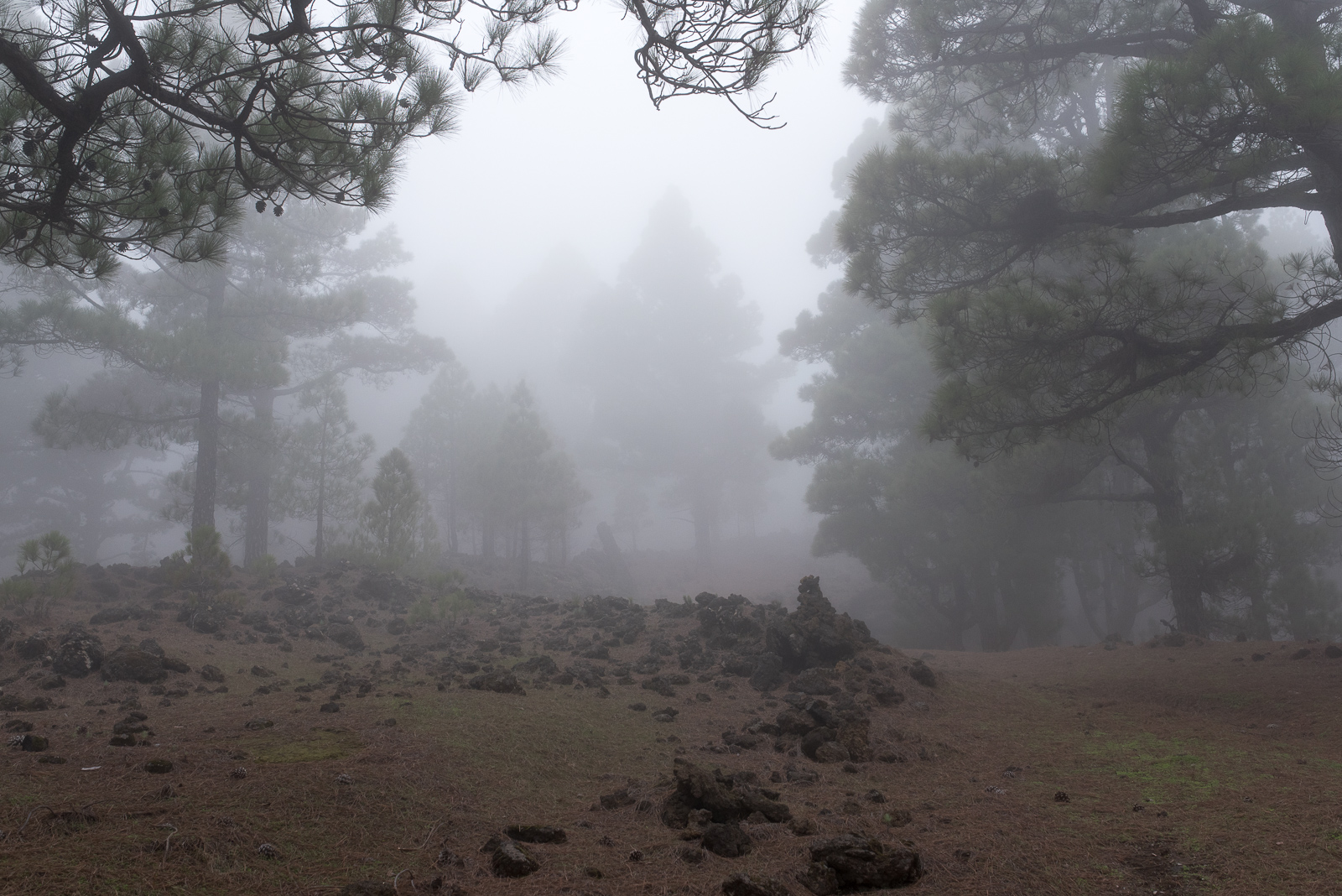 Nebel am Mercader