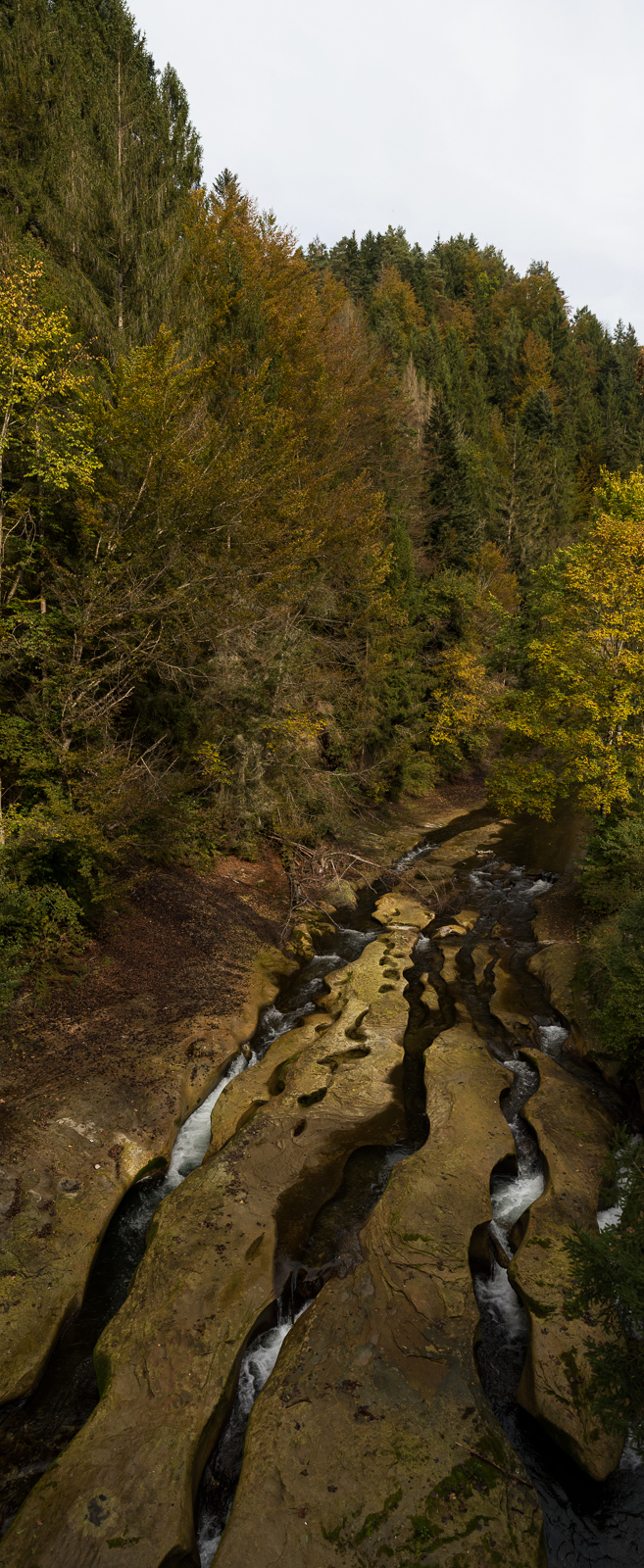 Schwarzwasser mit niedrigem Wasserstand