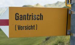 Featured image of post Gantrisch