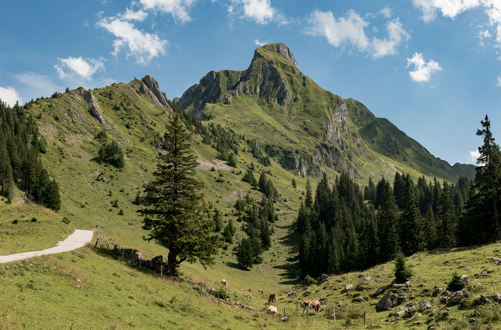 Gantrisch von unten