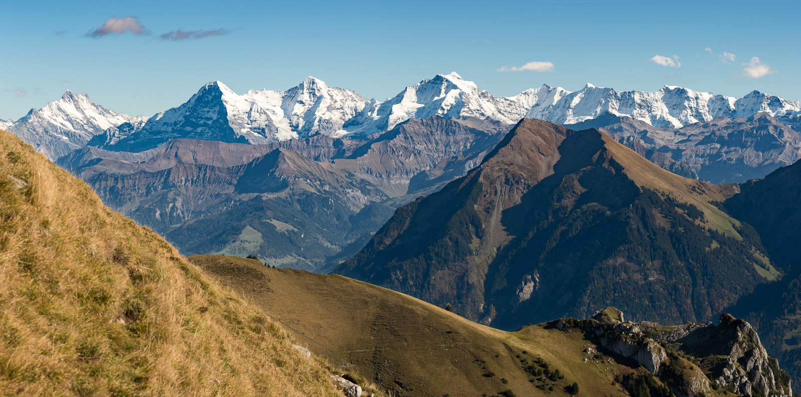 Niesen und Alpen