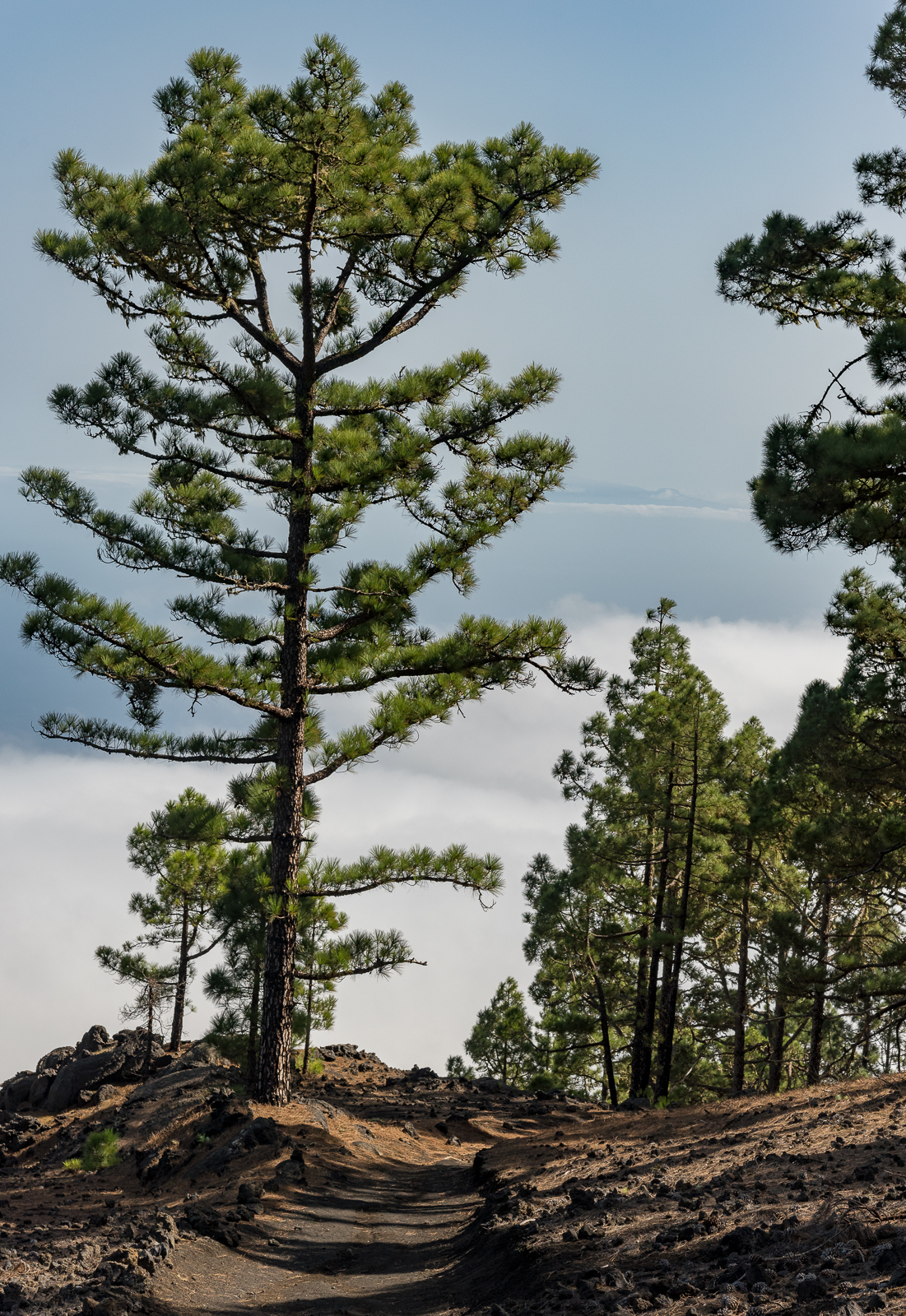 Ausblick über den Wolken nach La Gomera