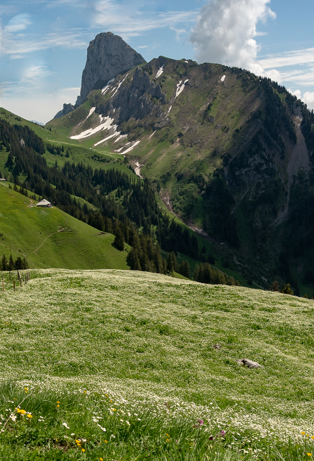 Eine Alp vor dem Stockhorn