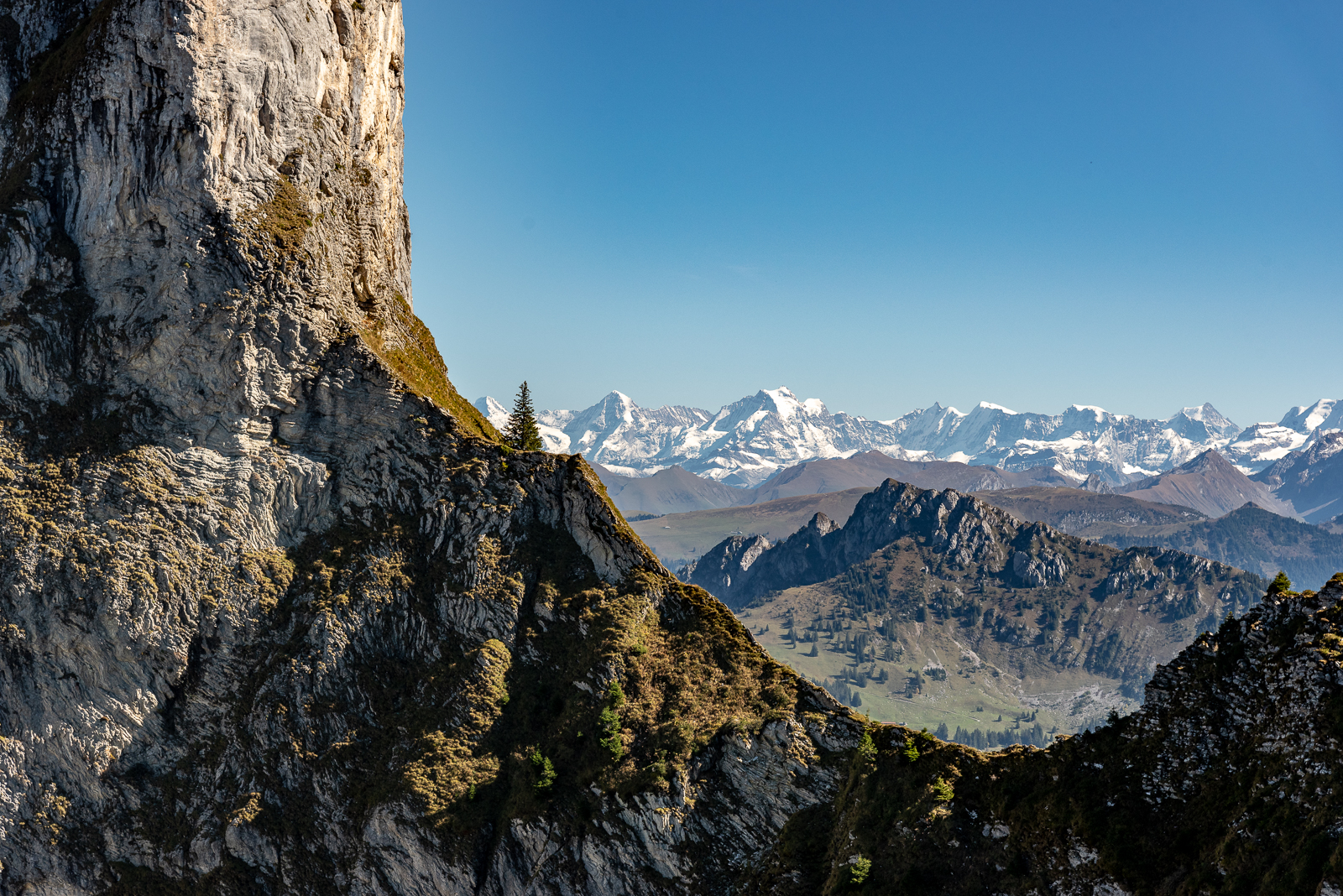 Die Alpen im Hintergrund