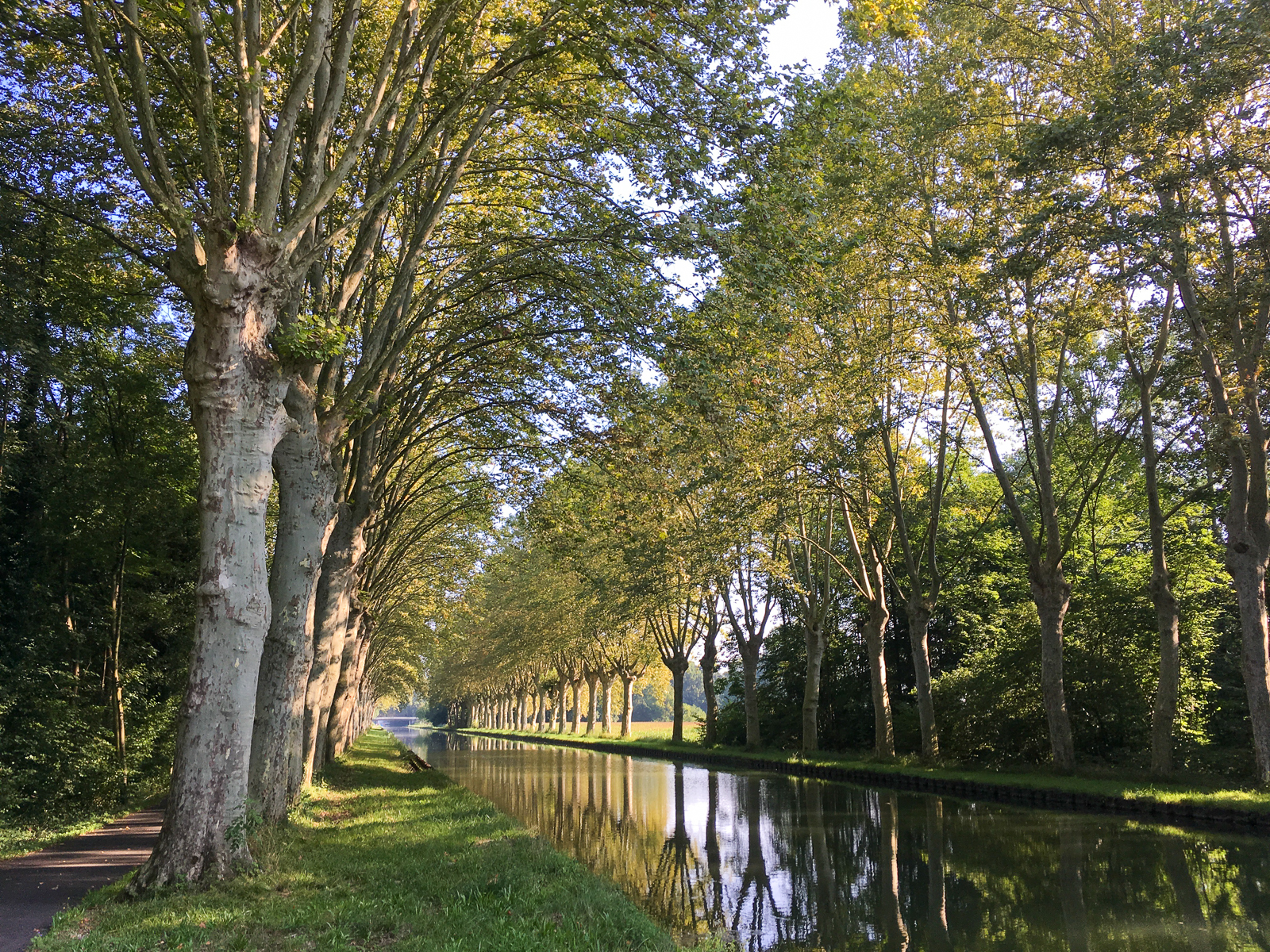 Am Rhein-Rhône-Kanal bei Strasbourg