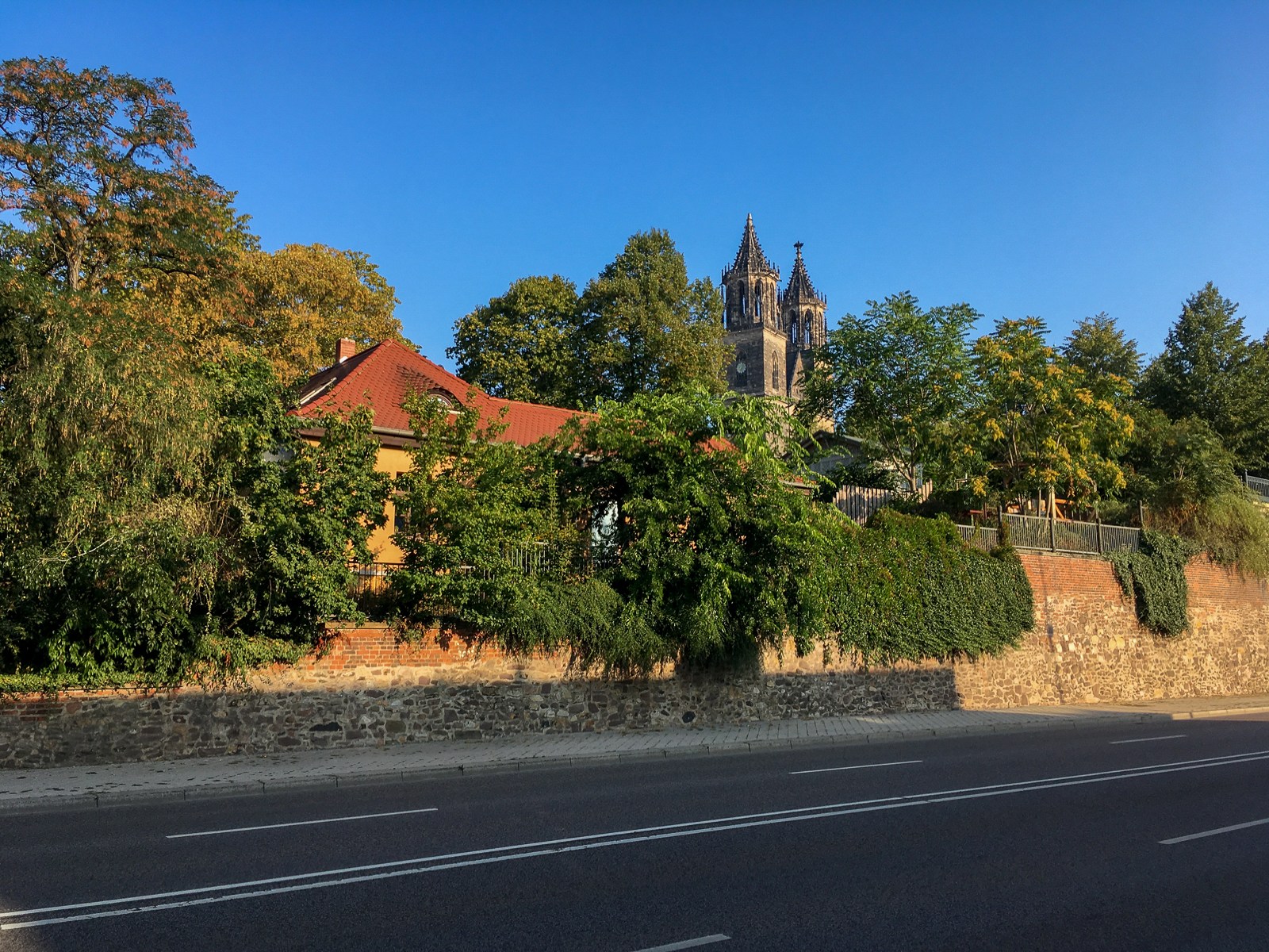 Magdeburger Dom am Morgen