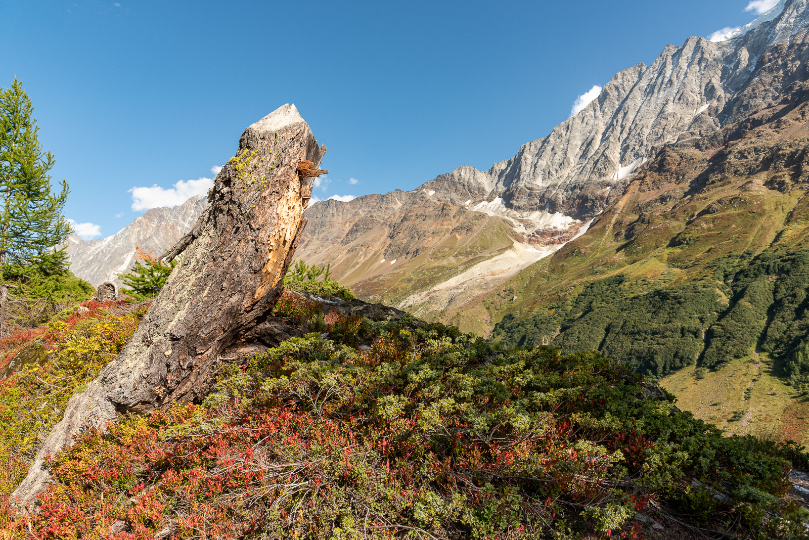 Die Wand der Bietschhornkette