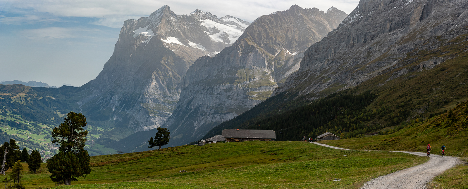 Auf einer Alp, Grindelwald unten, Chrinnenhorn im Hintergrund