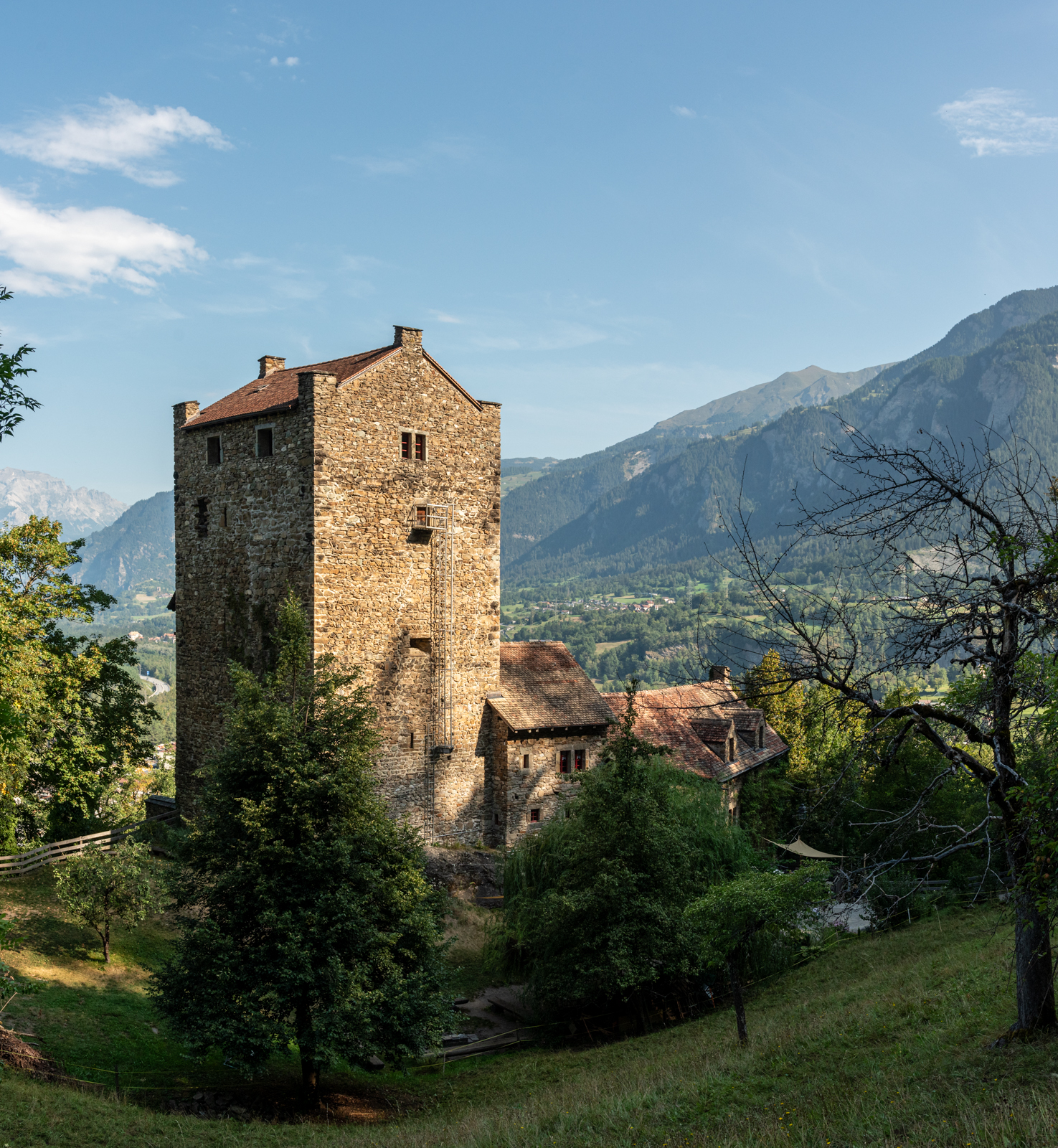 Burg Ehrenfels