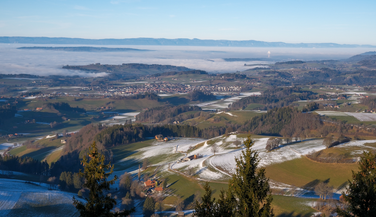 Nebel im Tiefland