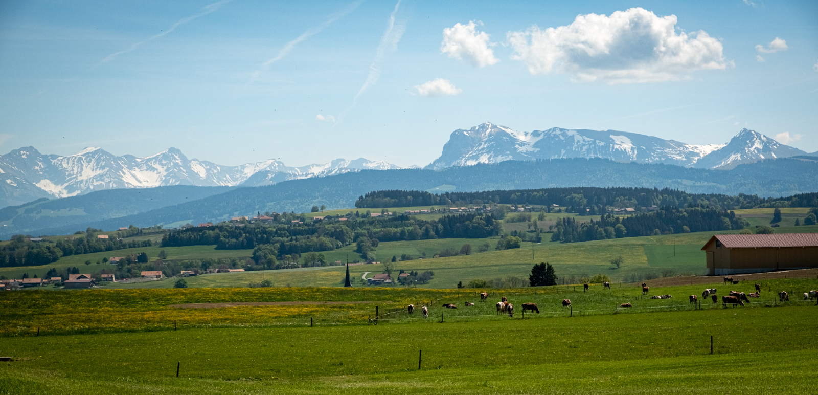 Die Alpen