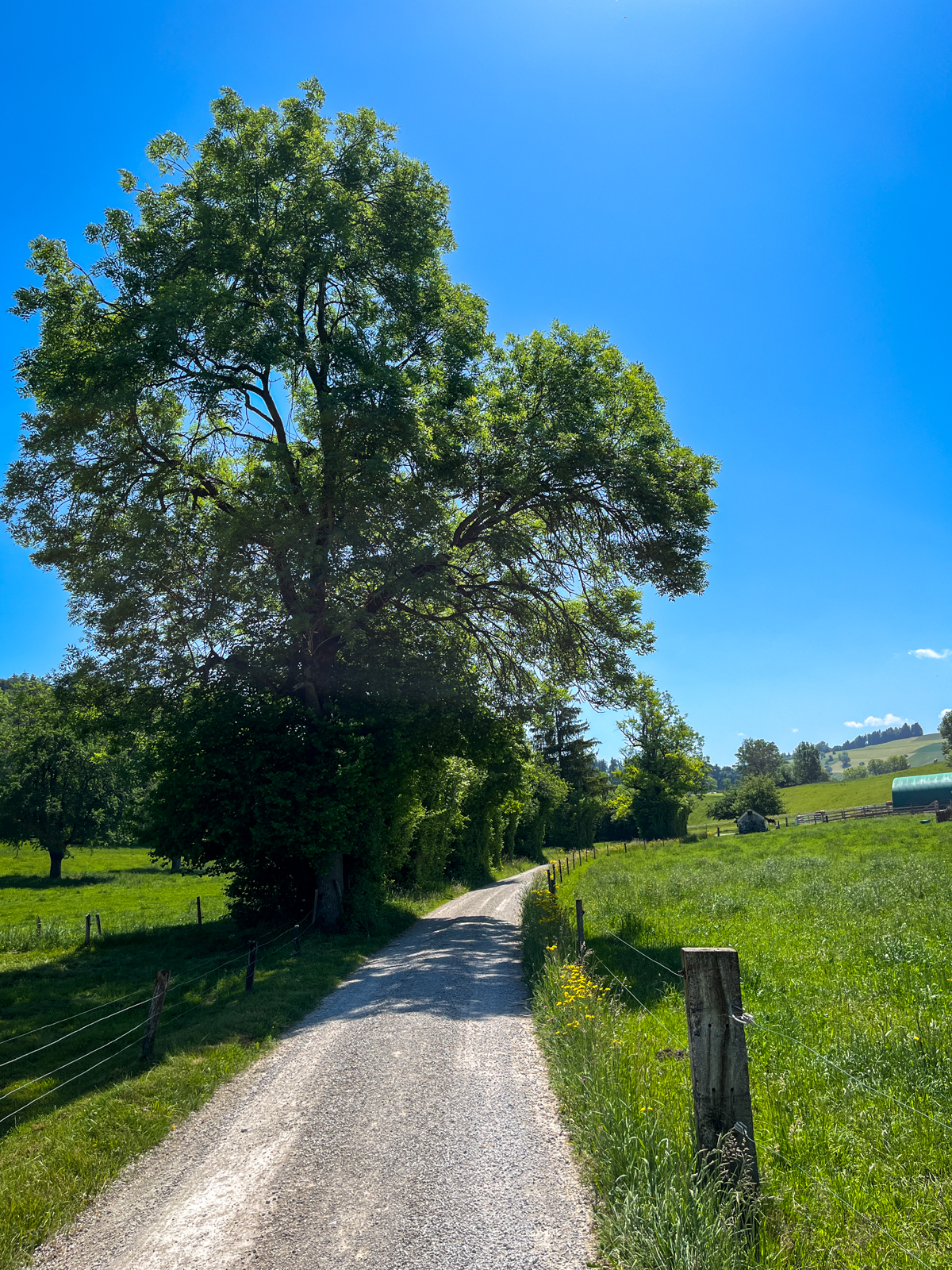 Irgendwo hinter Riggisberg