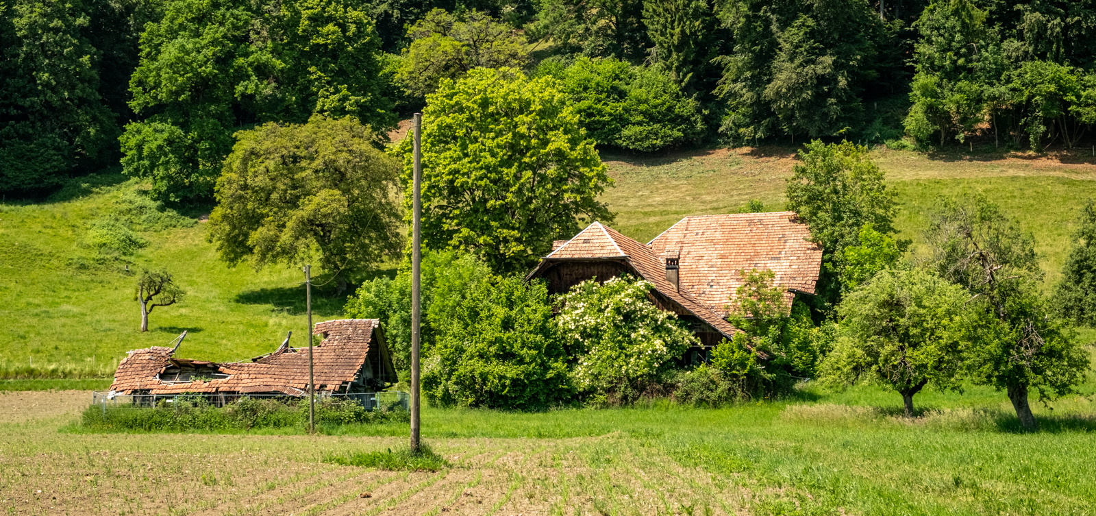 Ein einsamer Hof