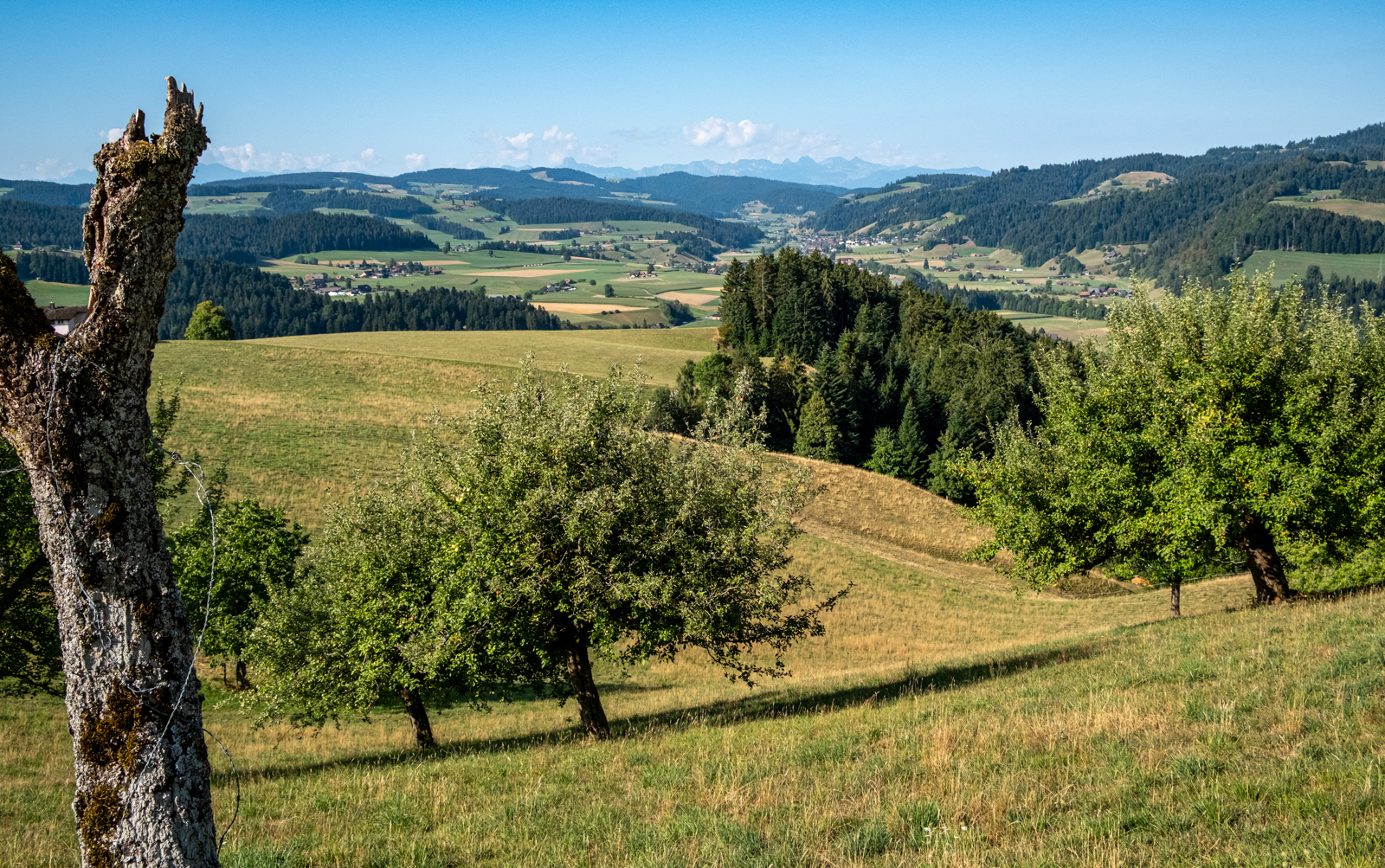 Panorama bis zum Gantrisch