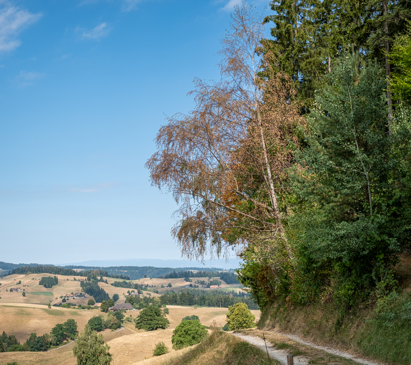 Aussicht Richtung Jura
