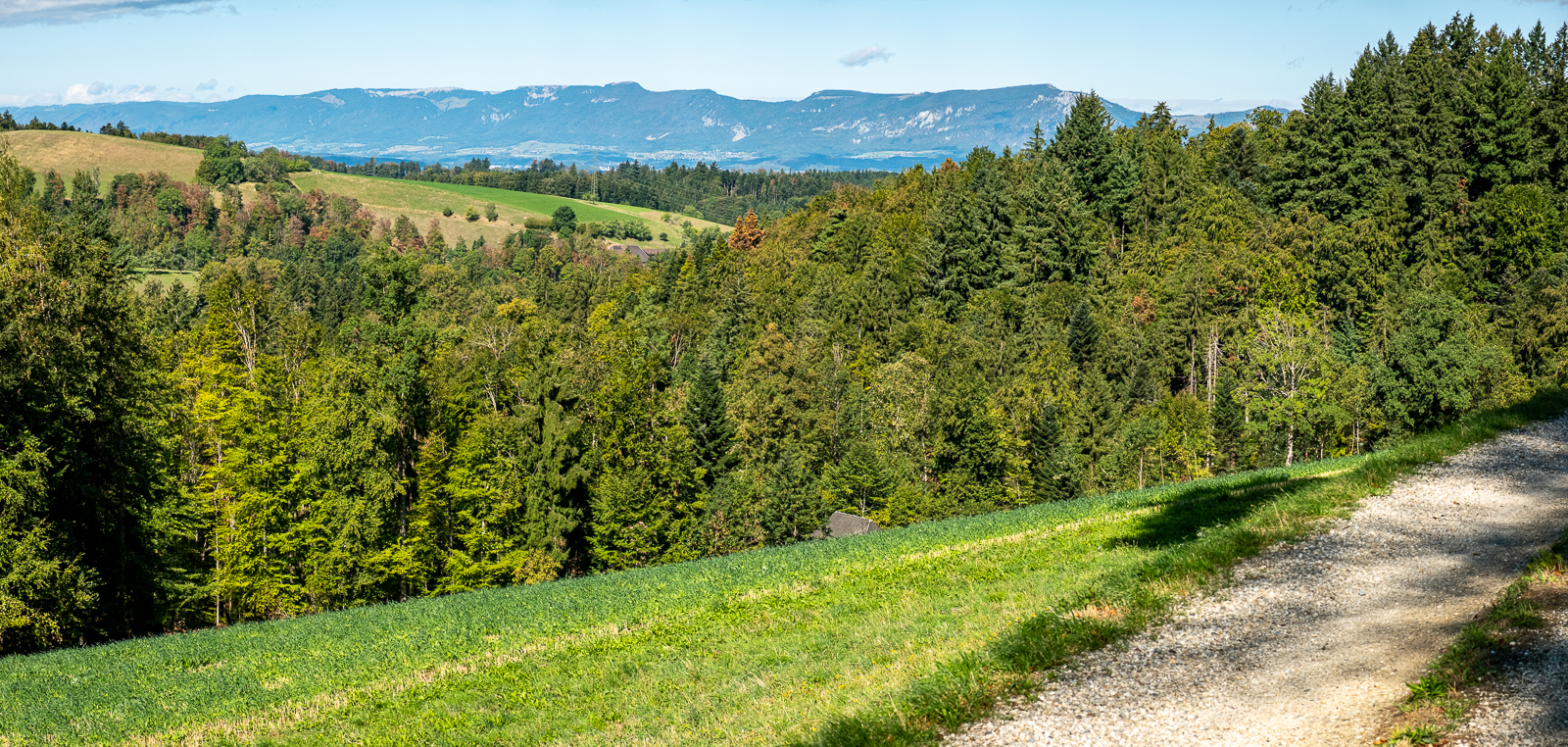 Blick auf den Jura