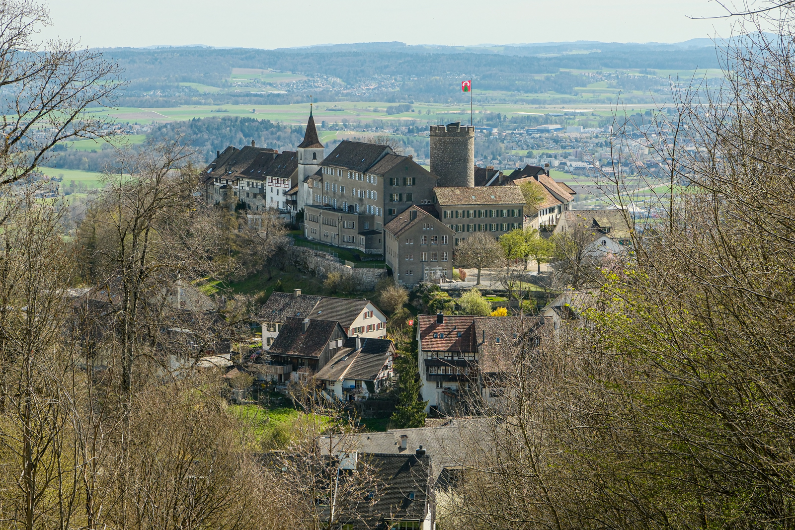 Regensberg von oben