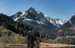 Spitzflue am Schwarzsee